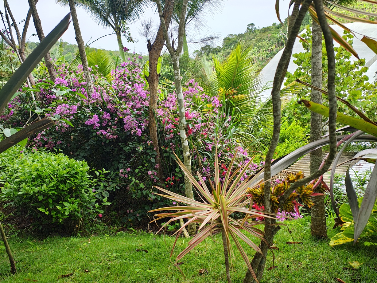 Vista da Serra de Mulungu 4
